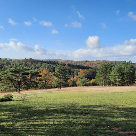 Gite Les Placettes Sainte-Foy-de-Longas Экстерьер фото